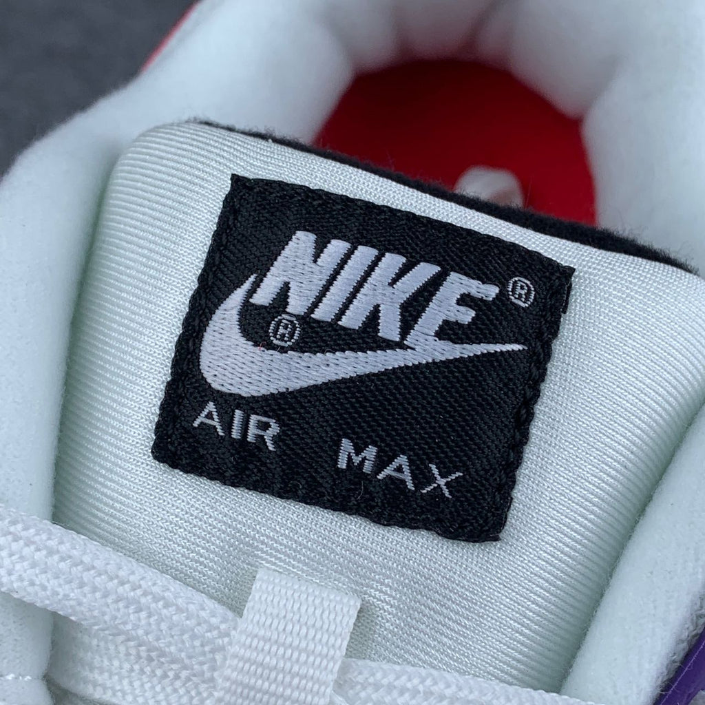 Nike Air Max 90 Essential 'Raptors'