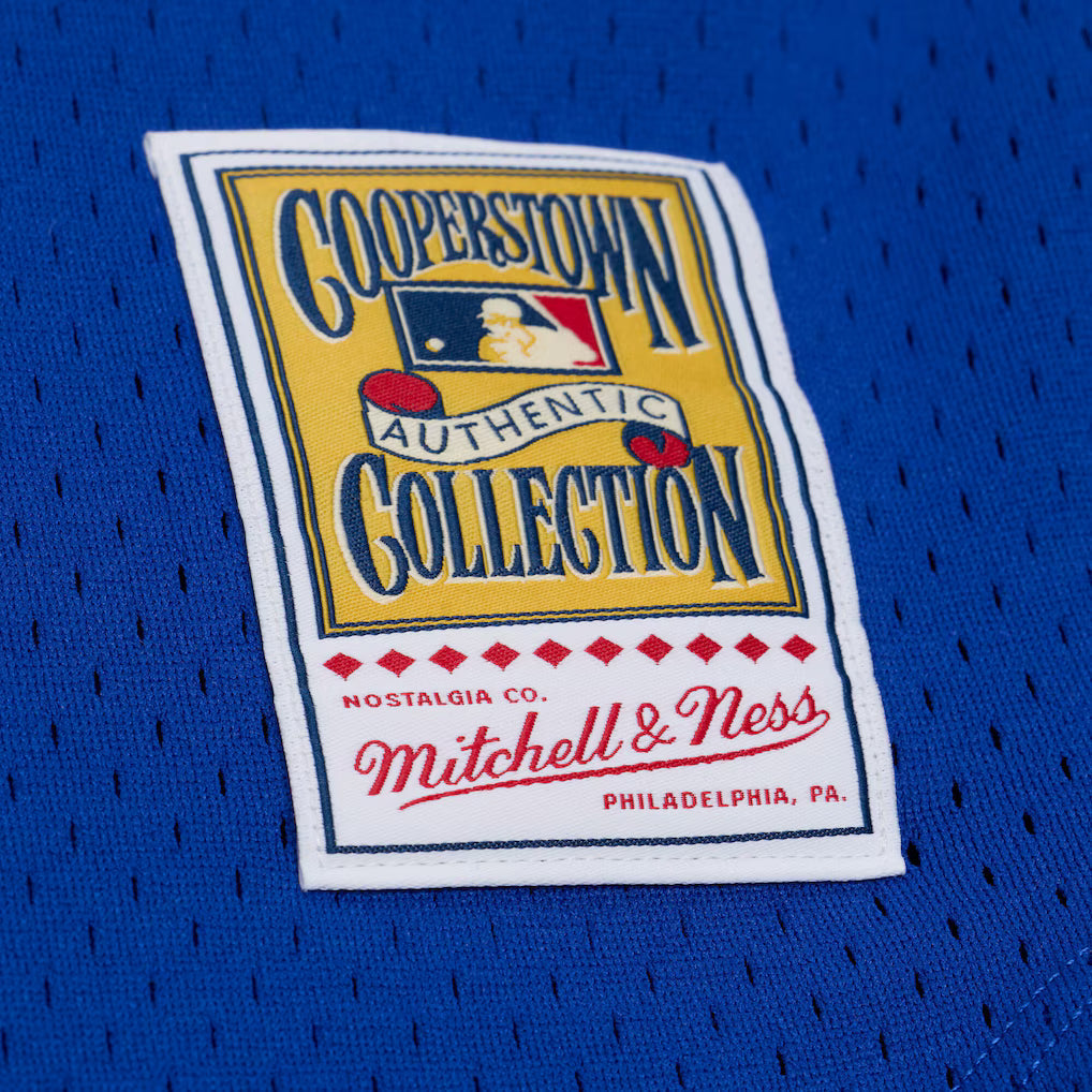 M&N Chicago Cubs 1984 Ryne Sandberg Authentic Batting Practice Pullover Jersey