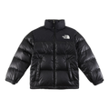 The North Face Contrast-Panel Puffer Jacket with Stand Collar